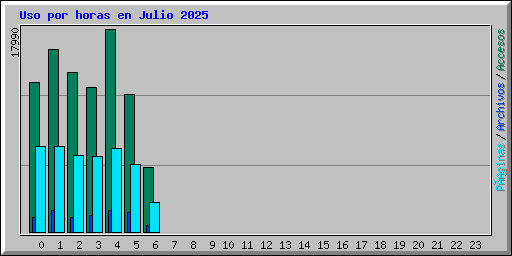 Uso por horas en Julio 2025